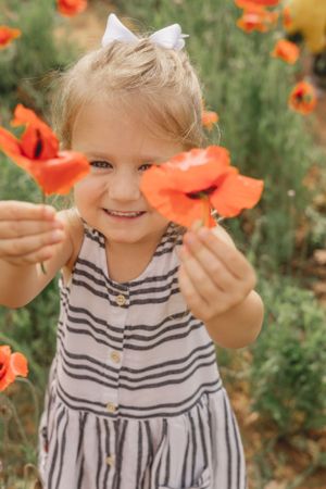 Smiling toddler girl in striped dress holds red poppy flower in sunny field.