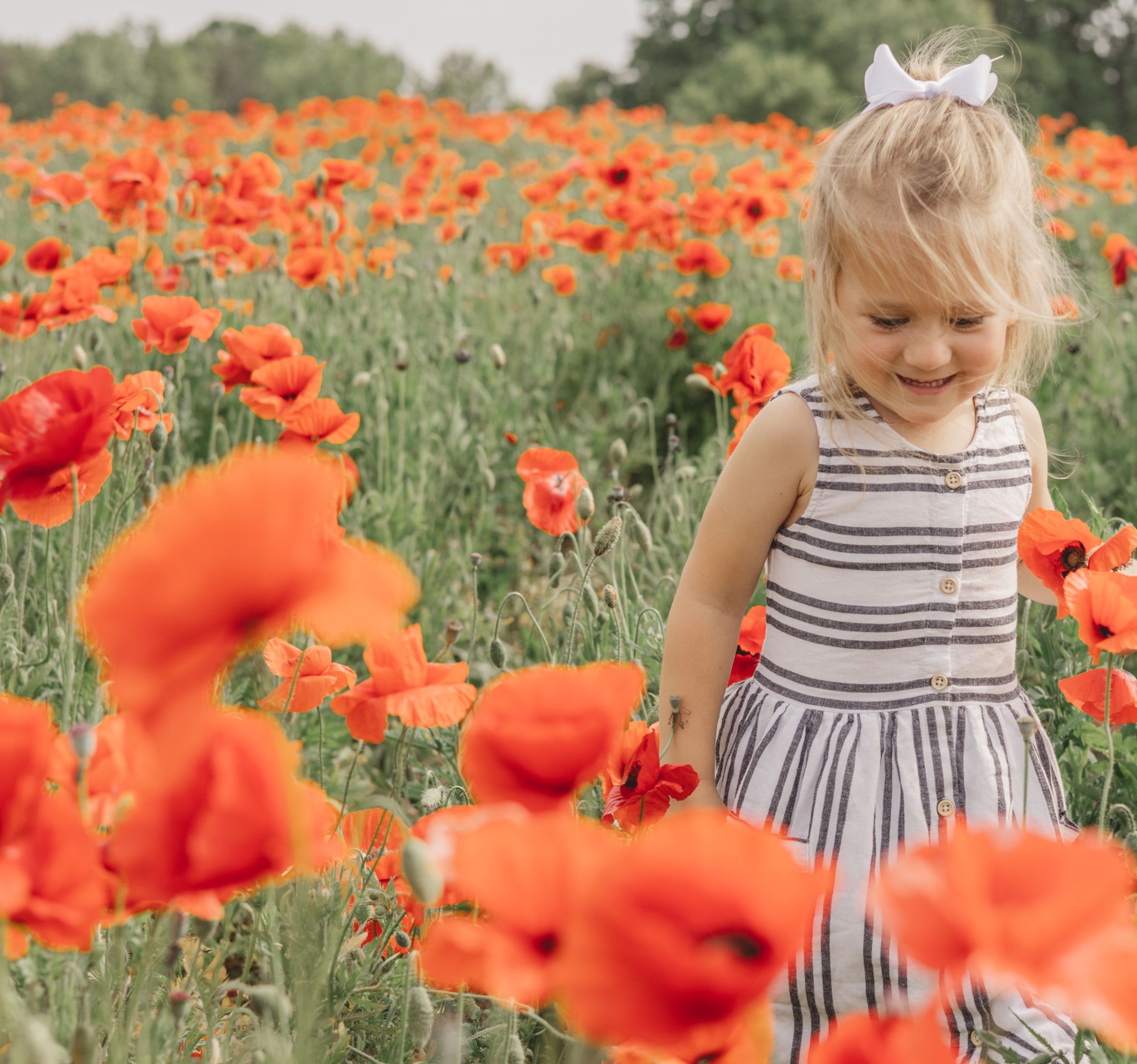 Adorable little girl in striped dress smiling while walking through a vibrant red poppy field.