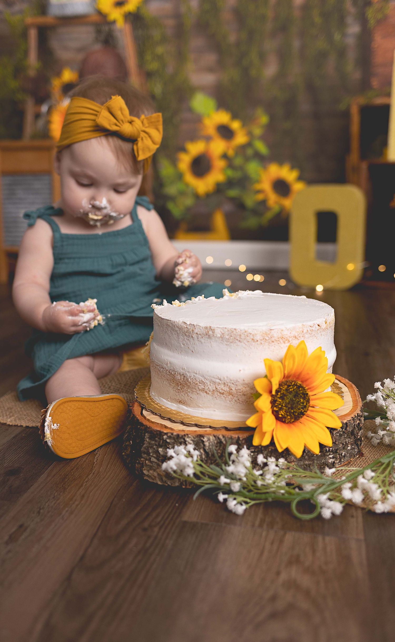 Cakesmash photoshoot Waukesha, Hartland, Oconomowoc, WI