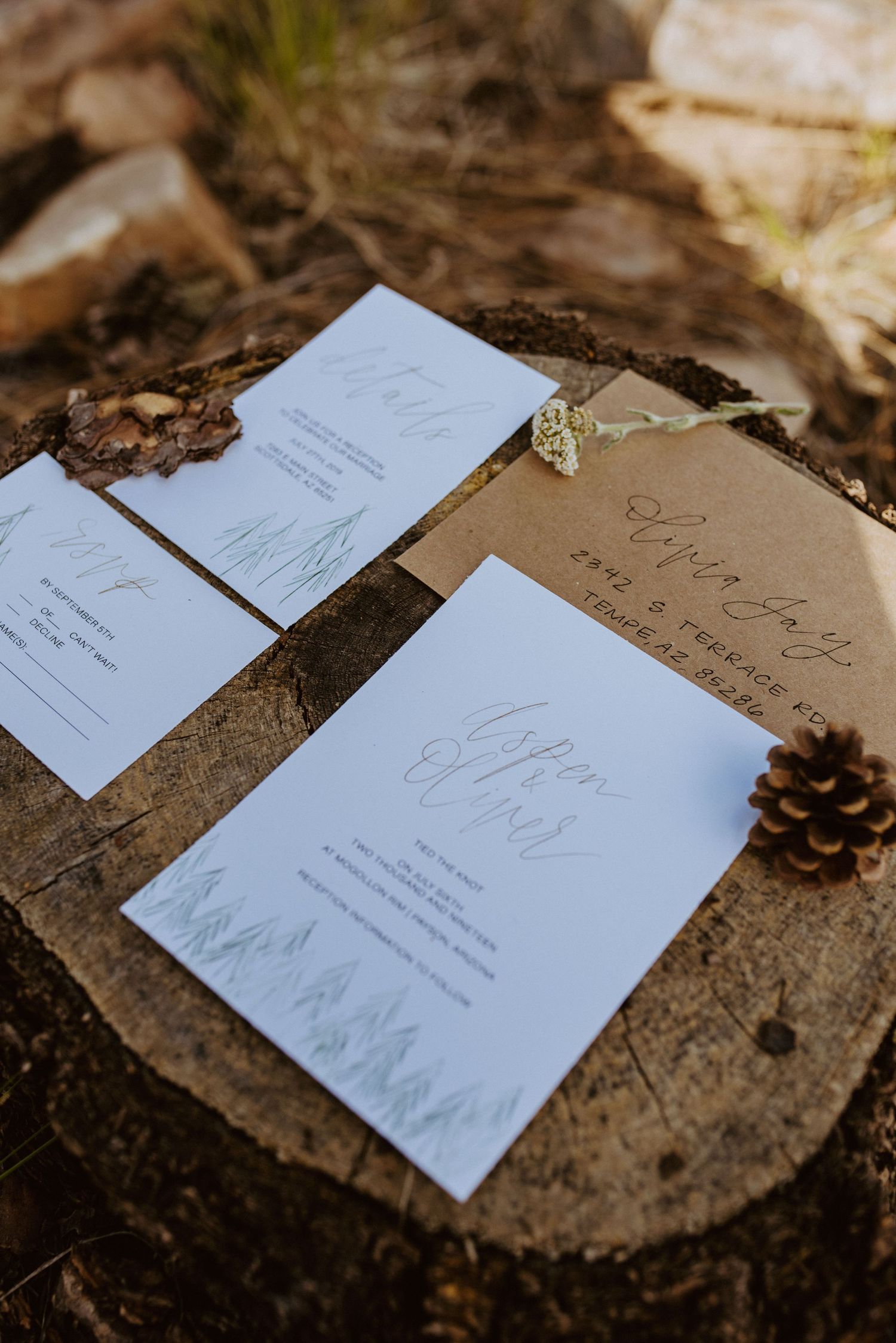 Elegant wedding invitations with pine cones and natural elements on rustic wood surface.