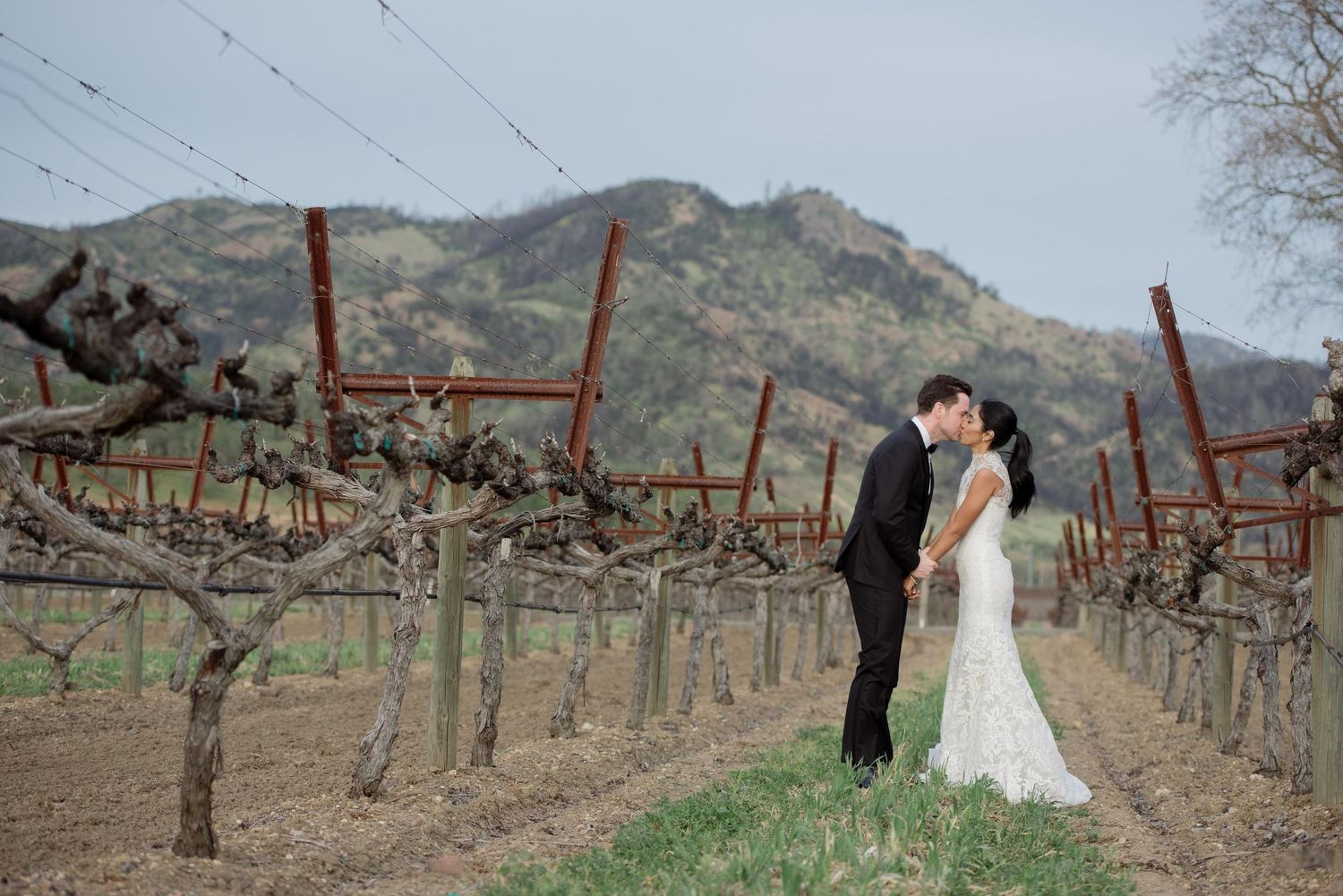 Napa California Wedding Photographer