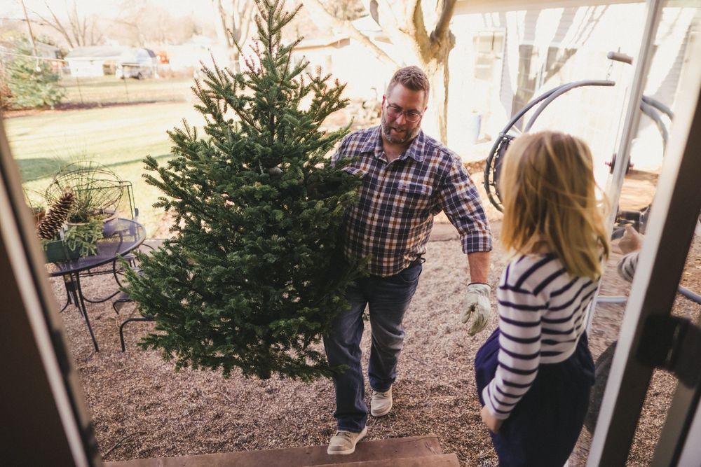 Fresh Christmas tree being carried outdoors near a brick building.