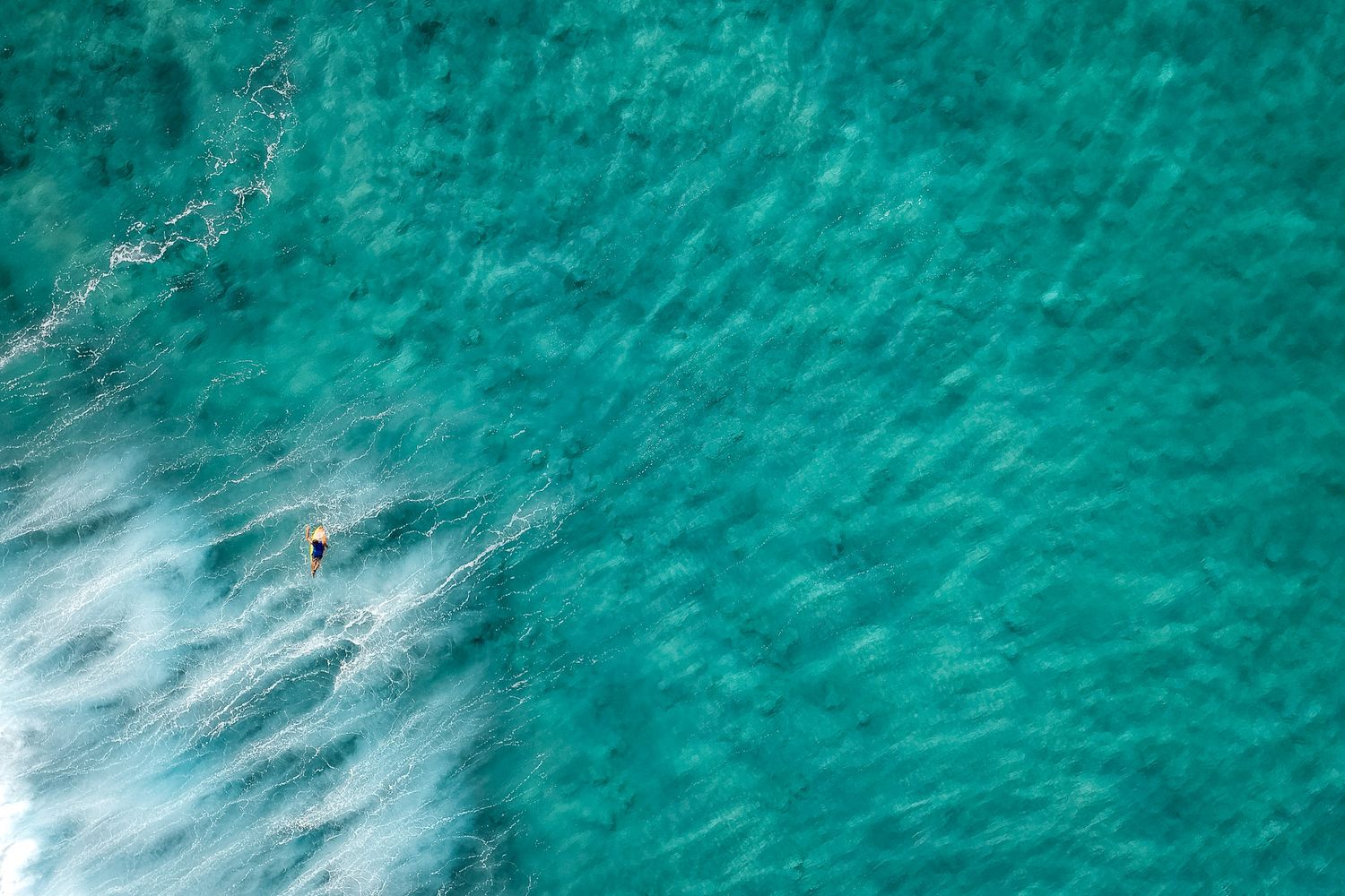 Salty Gallery ocean wall art ocean art surfer aerial