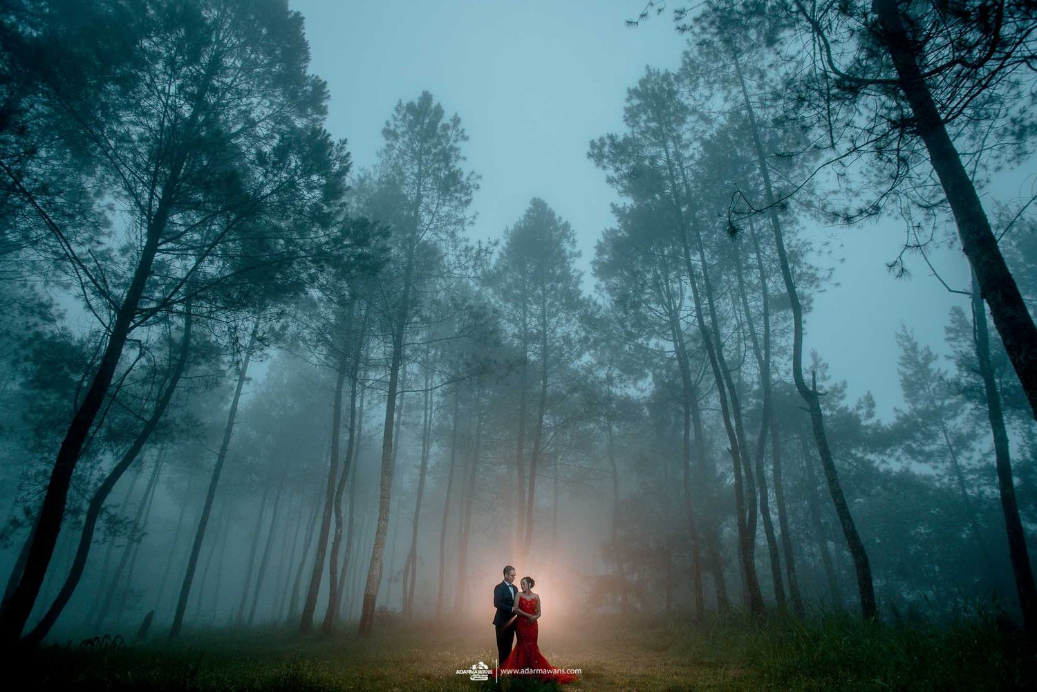 Two silhouettes stand in a misty forest with dramatic lighting.