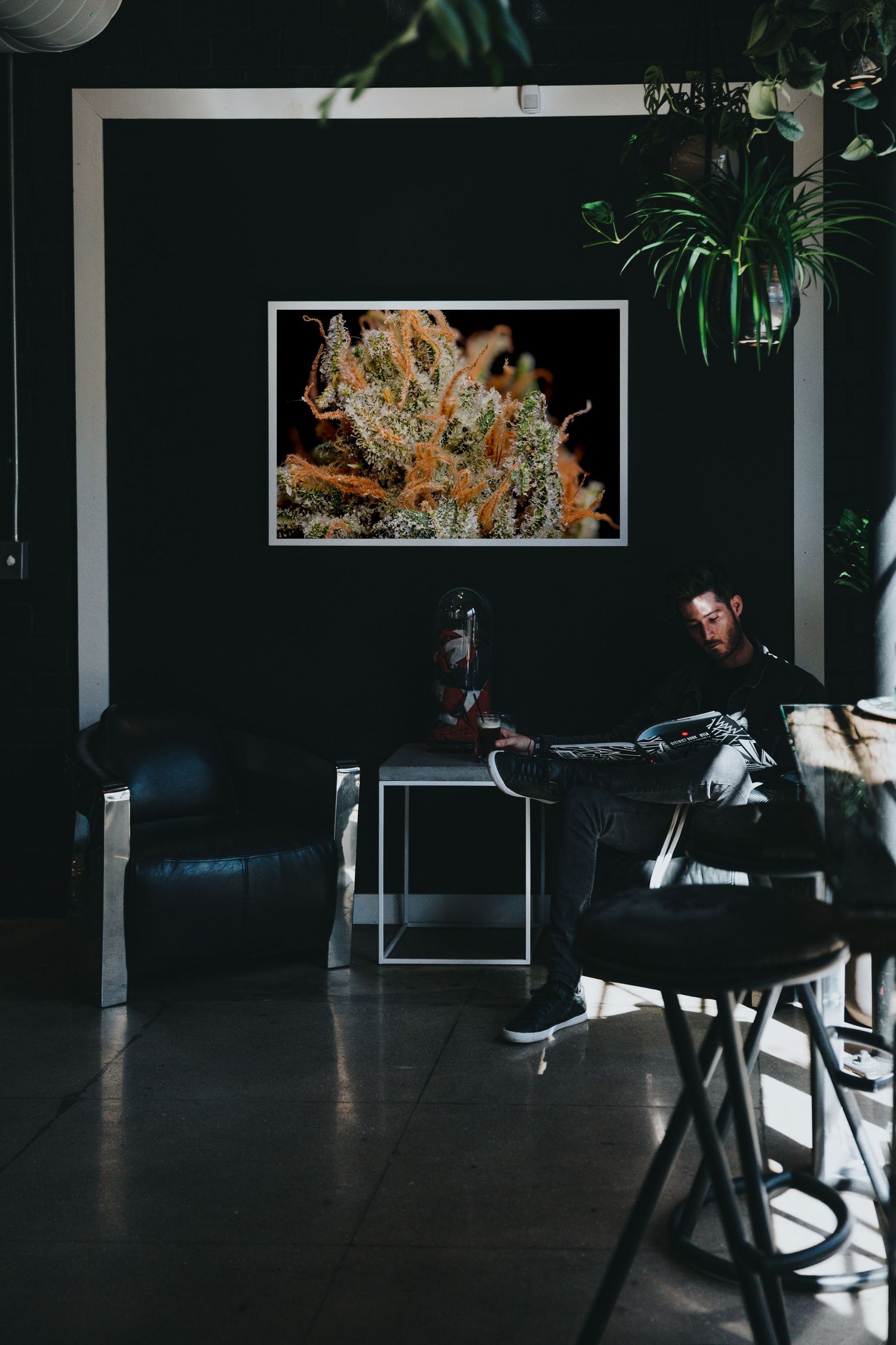 CannaPrints.ca - Metal Cannabis Prints for Modern Commercial Spaces. Contemporary Wall Art