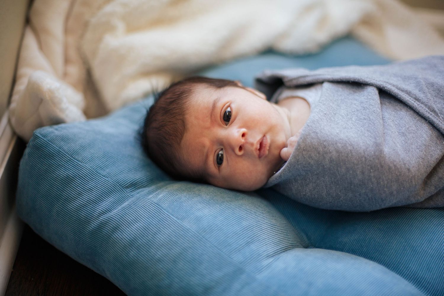 newborn photographer in Everett: a newborn baby boy in natural light newborn photo session