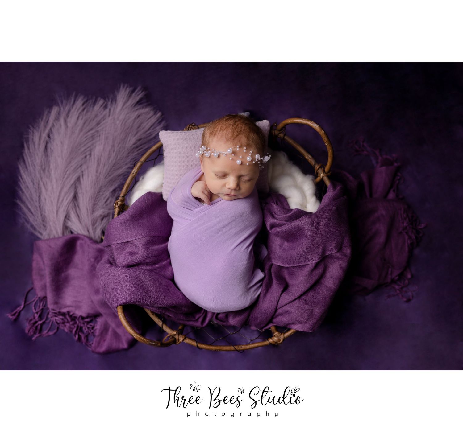 Newborn photography with purple fabrics and feathers in rustic basket setting.