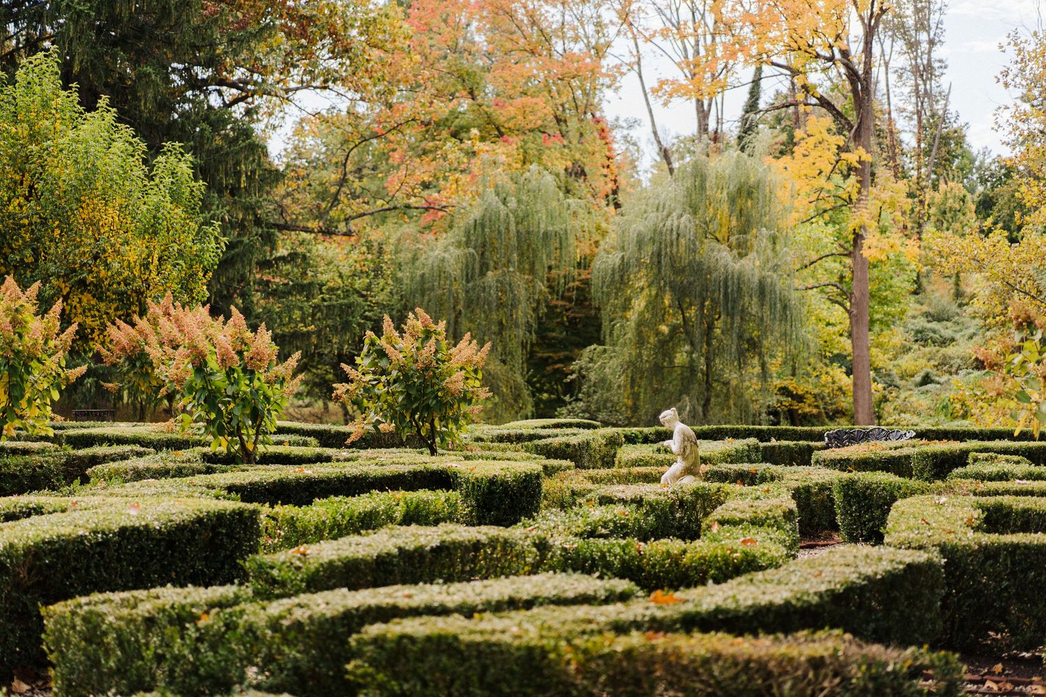 Manicured garden maze with green hedges and autumn foliage in background.