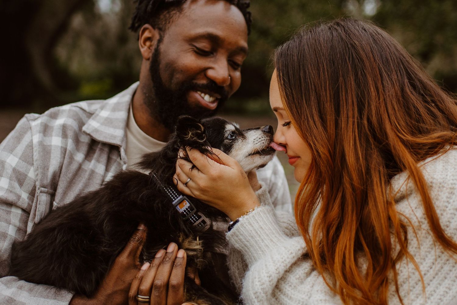 Photo of a couple with a small dog licking their face.