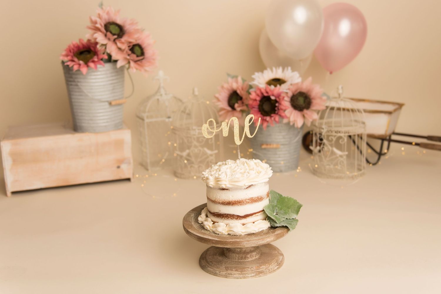 baby photo, cake smash session, babys first birthday photos, vermont cake smash photography