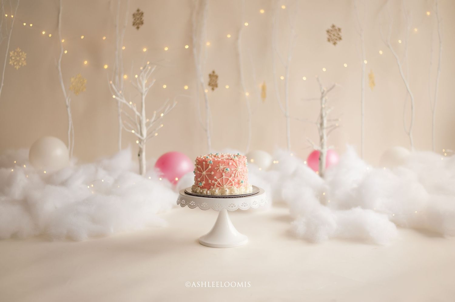 baby photo, cake smash session, babys first birthday photos, vermont cake smash photography