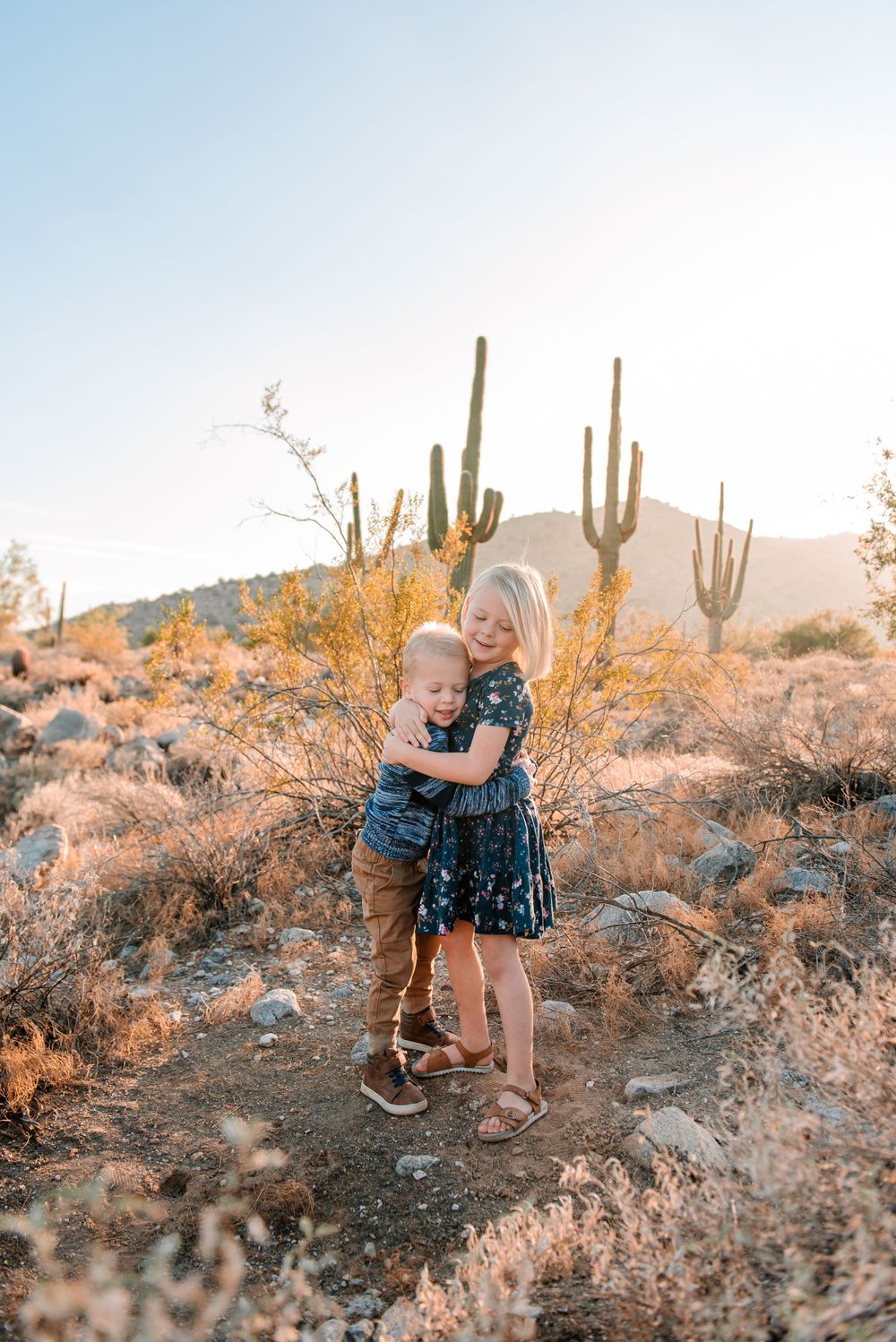 Desert scene with saguaro cacti and desert brush in warm evening light.