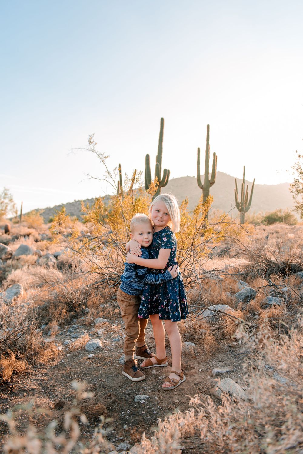 Desert landscape with saguaro cacti and brush illuminated by golden sunset light.
