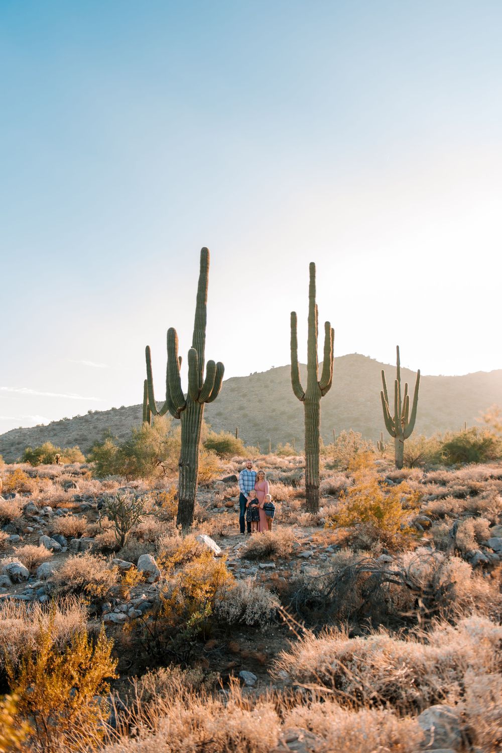 Scenic desert vista with saguaro cacti dotting the rocky terrain at golden hour.