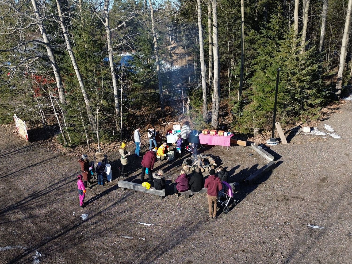 Outdoor gathering space between birch trees with groups of attendees in winter.