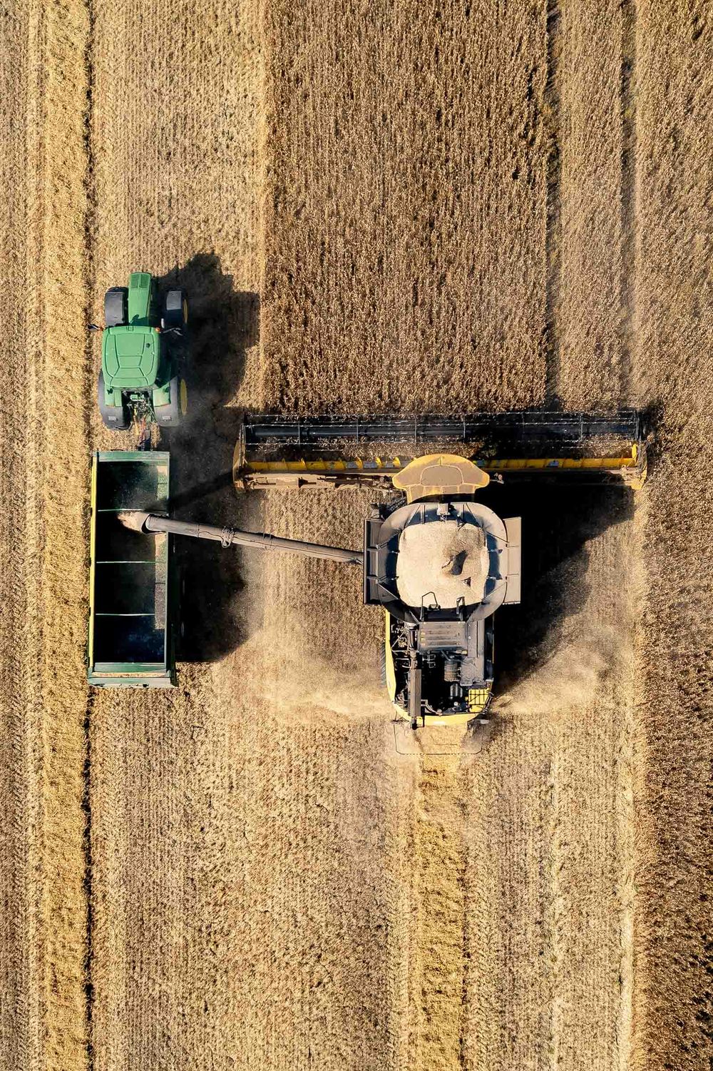 Aerial view of a combine harvester unloading grain into a green tractor trailer in a golden wheat field.