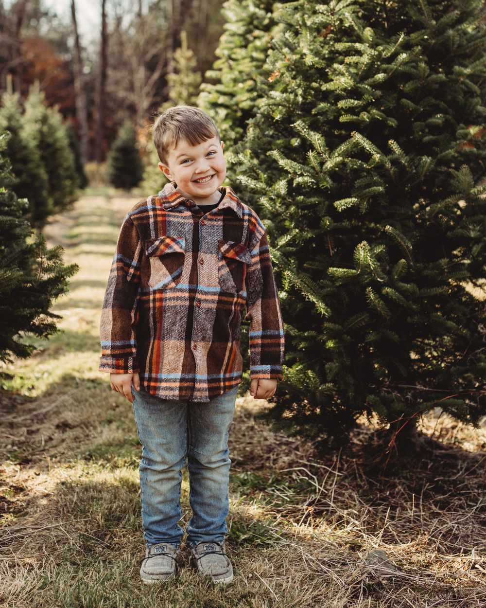 Professional family photo - tree farm edition