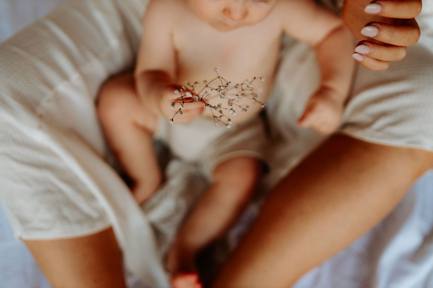 Sydney mother's day mini session  2023