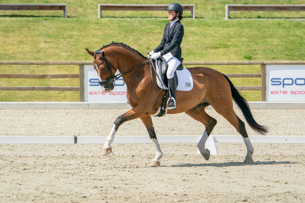 A chestnut horse and rider executing a dressage movement in a sand arena.