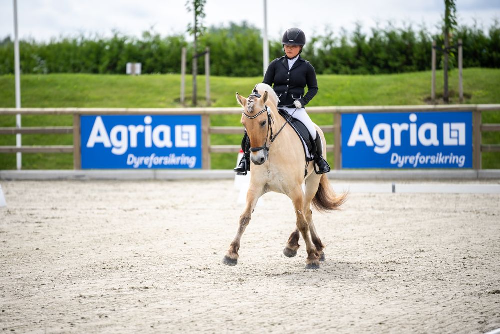 Rider competing in dressage test on palomino pony with Agria sponsorship banners.