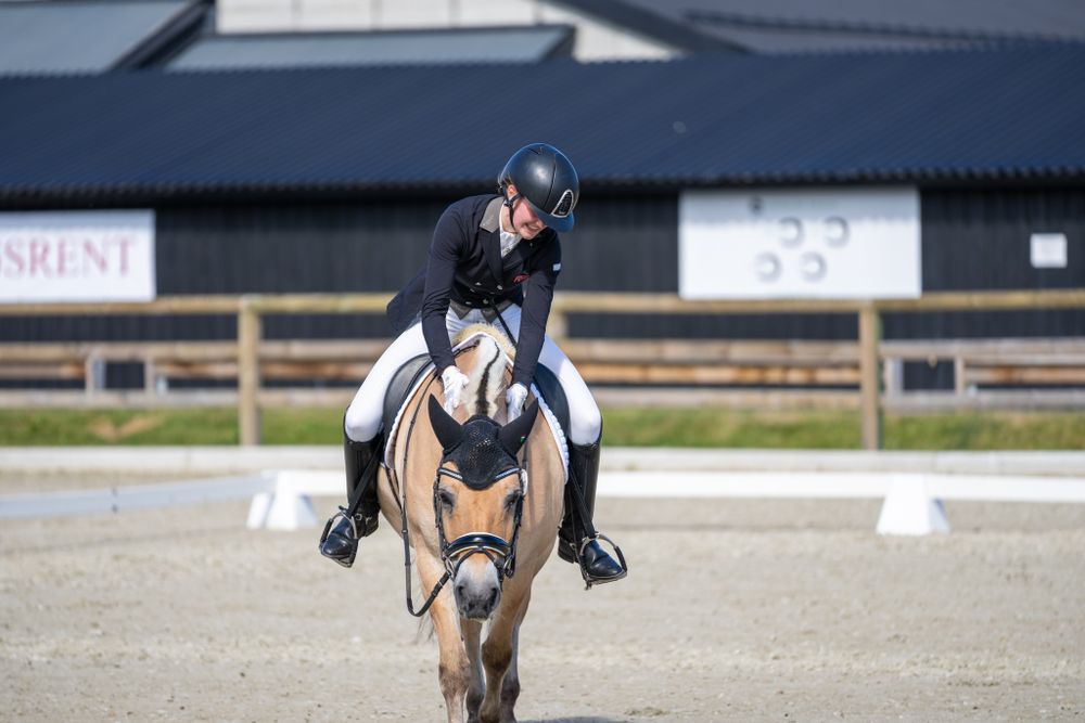 Equestrian performing dressage test on light brown horse in outdoor arena.