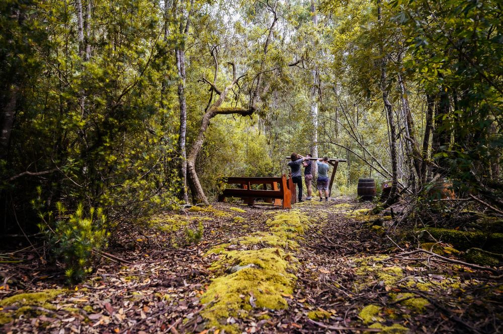 People walking along a mossy trail through dense forest with wooden structures.