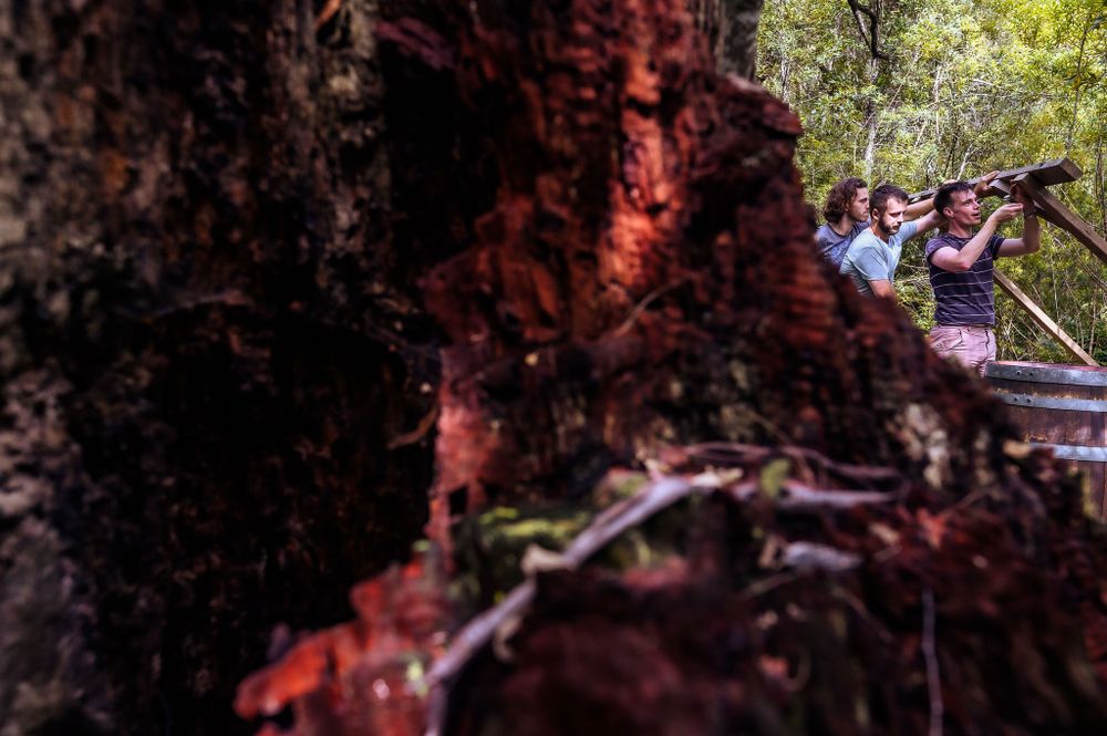 People observing through a rocky opening with red-tinted natural lighting.