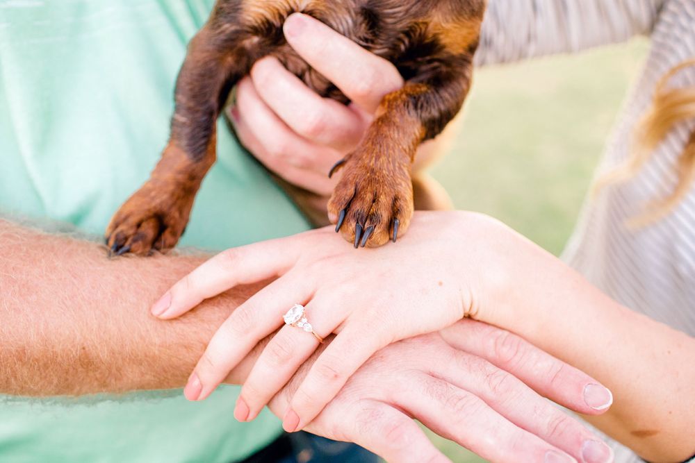 Close-up shot of hands with an engagement ring while a small dog's paw rests on top.