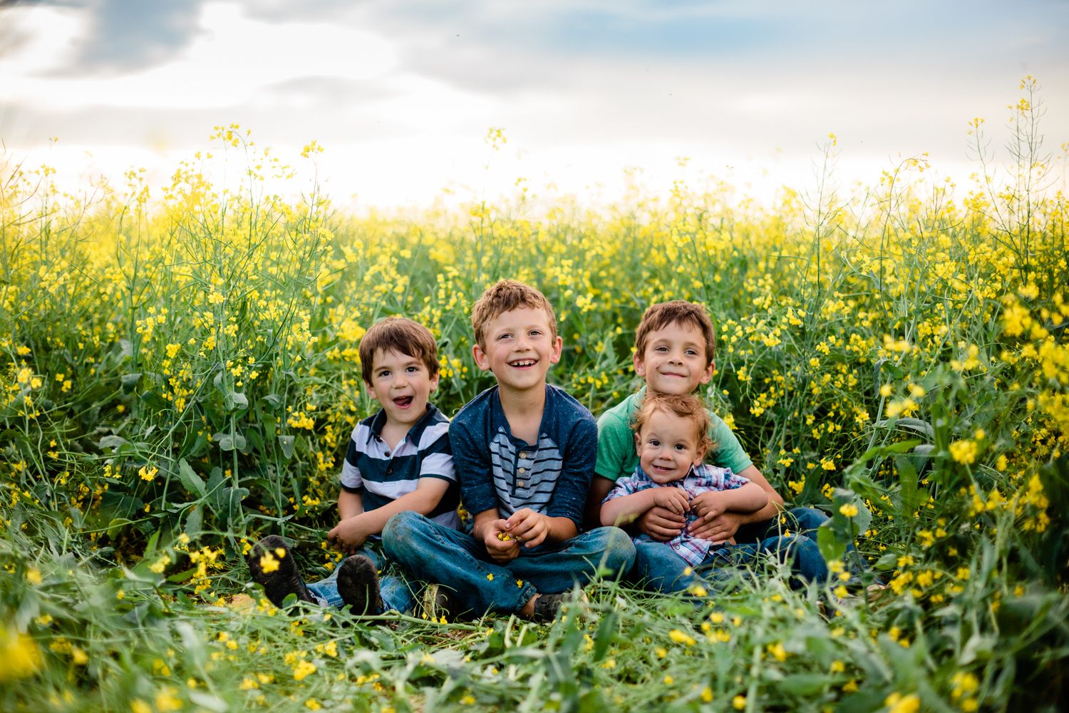 Four young boys sitting together in a field of yellow wildflowers under a dramatic cloudy sky.