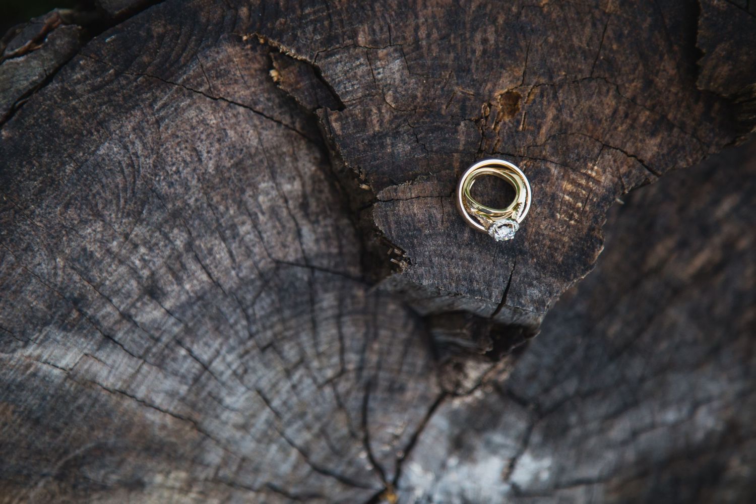 Dallas wedding ring