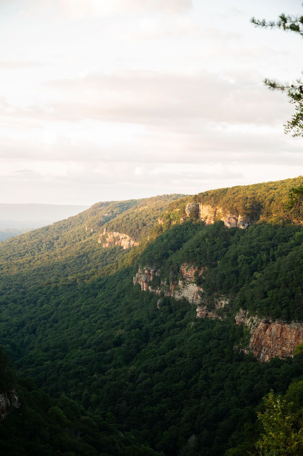 Rugged mountain cliffs rising above forested valley in golden evening light.