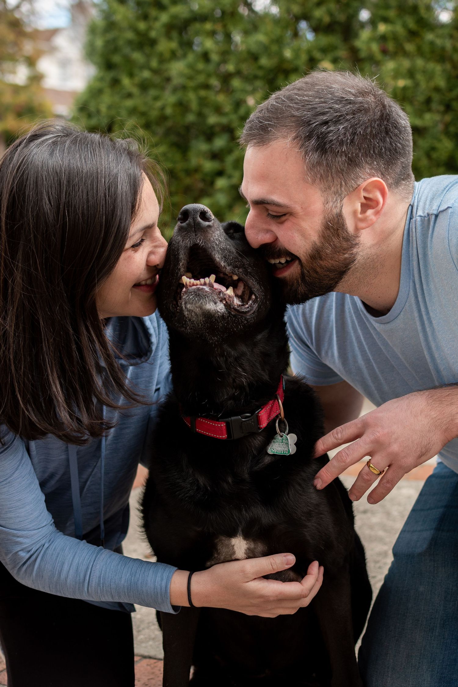 pet family photo