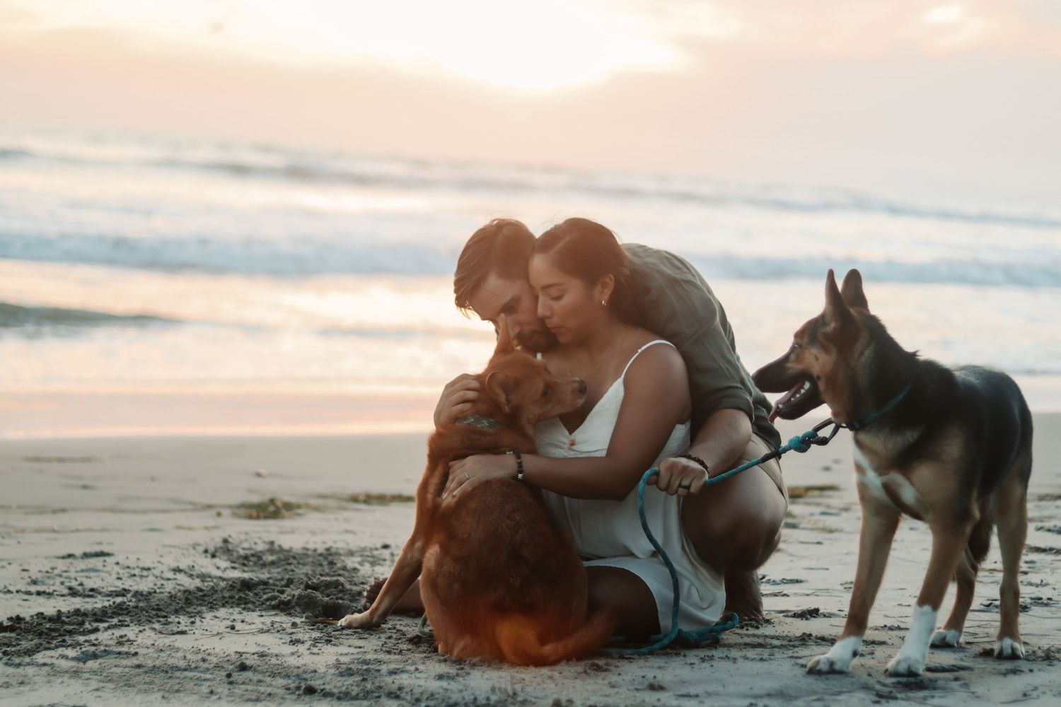Family photo shoot with a couple and their dogs on the beach in California