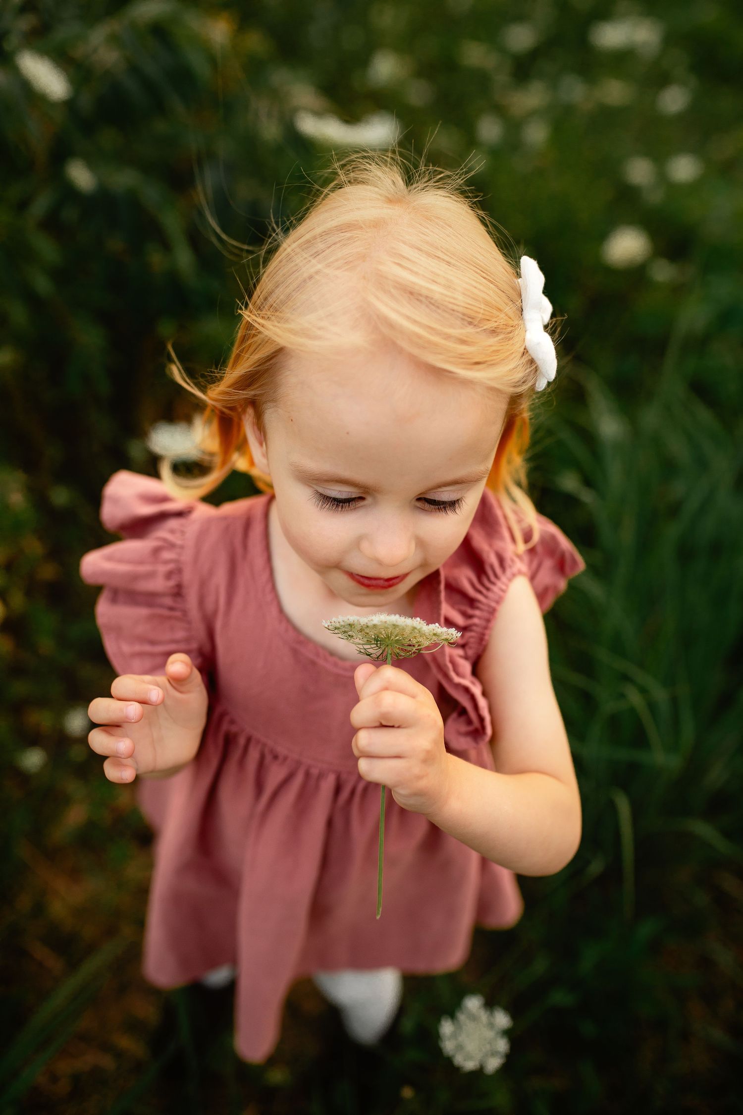 Adorable blonde toddler girl in pink dress smelling a wildflower in a green meadow.