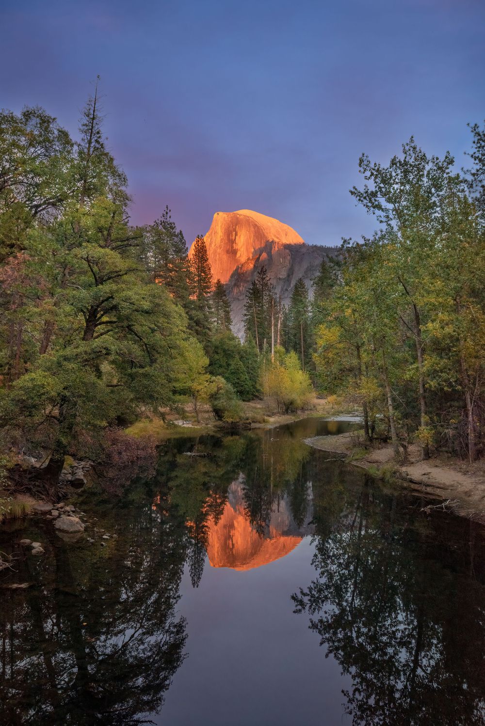Half Dome glows orange at sunset reflecting in the Merced River in Yosemite National Park.