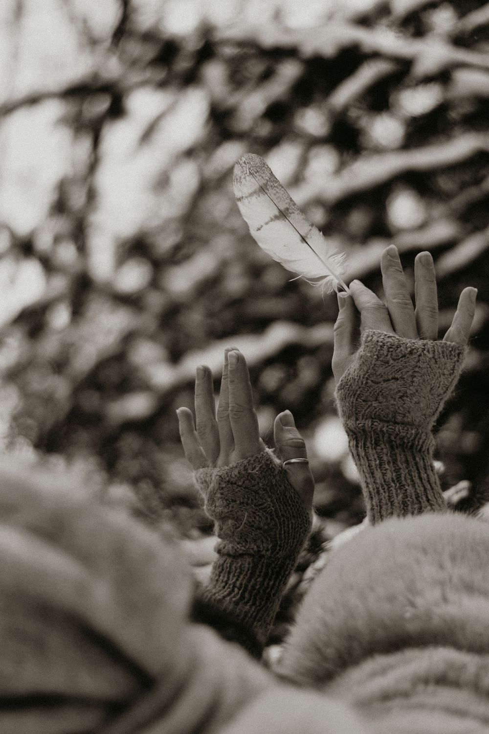 Hands wearing knit fingerless gloves hold a delicate feather against a snowy background.