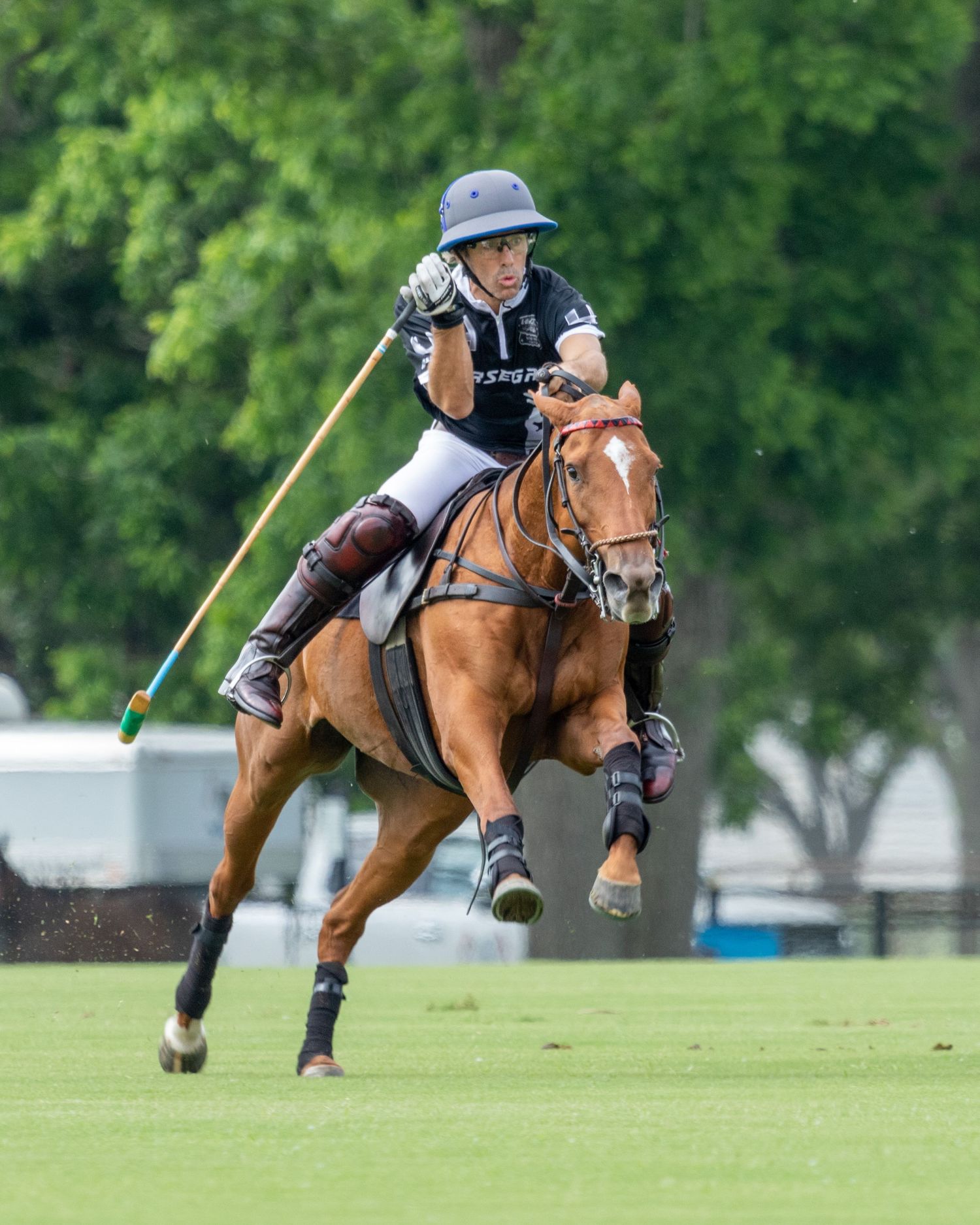 Polo Toto Collardin