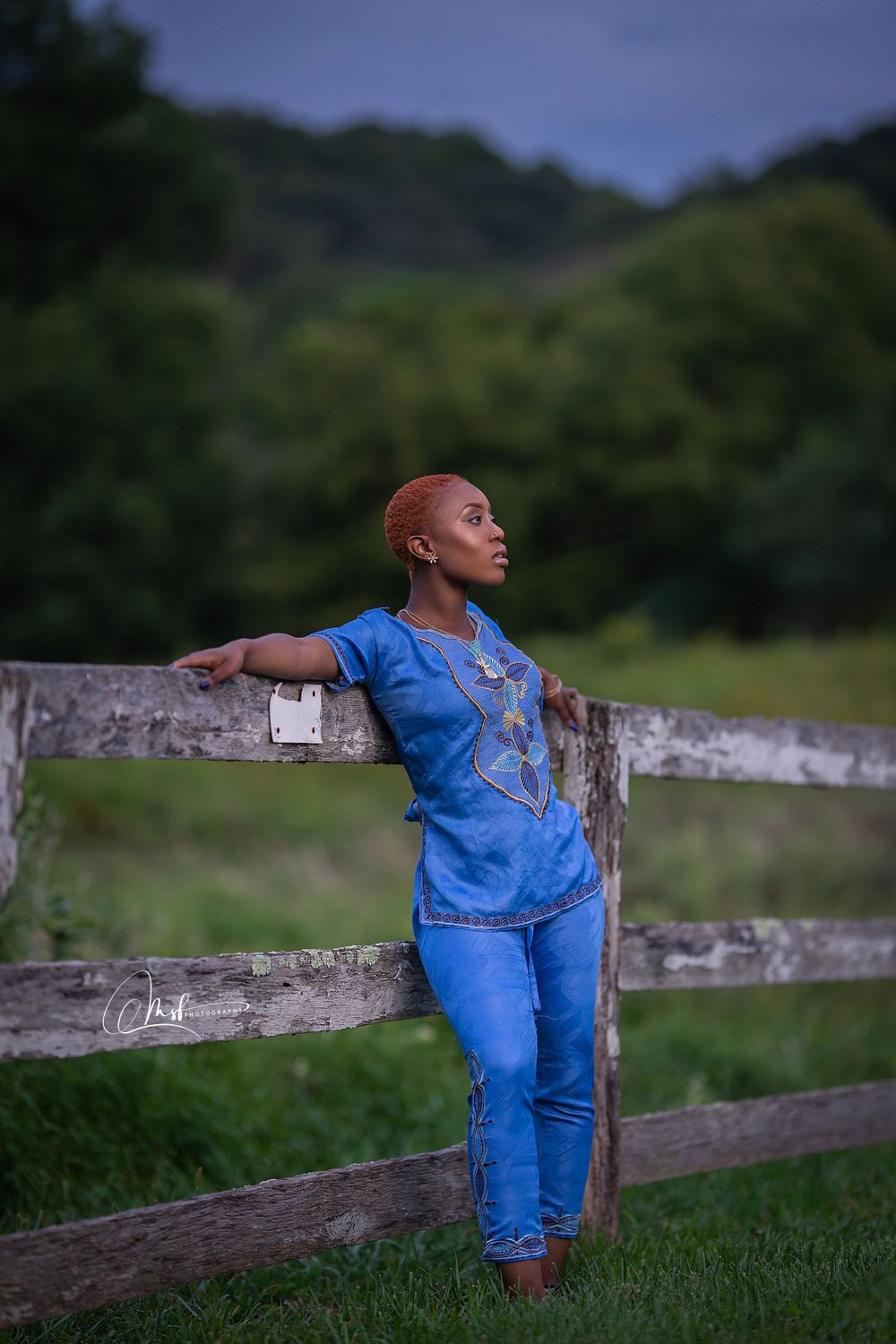 Figure in blue attire leans against a rustic wooden fence in a rural setting.