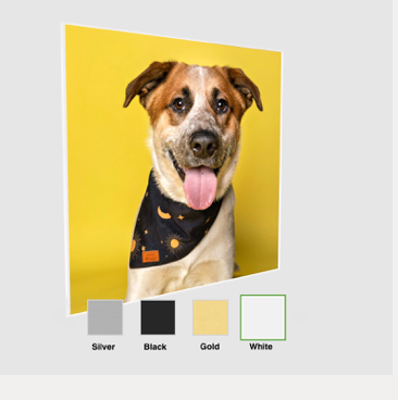 Elevate your space with a Fetch Light Photography framed acrylic print, capturing the vibrant spirit of dogs in Wildomar