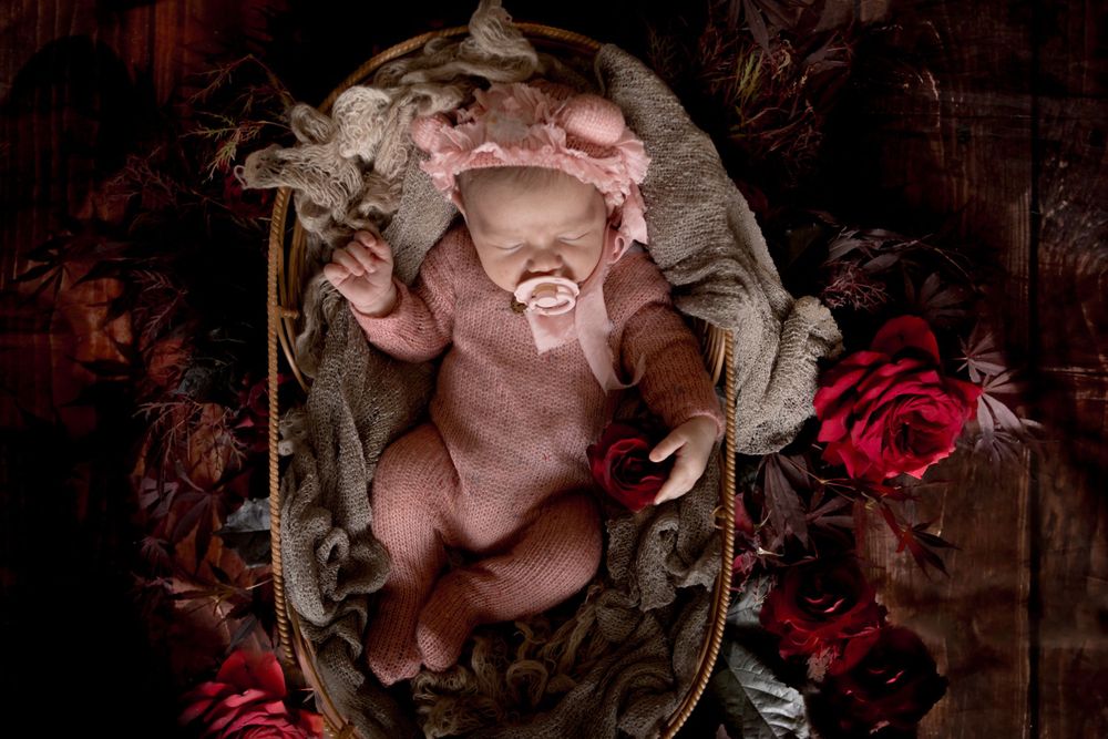 newborn photographer newzealand