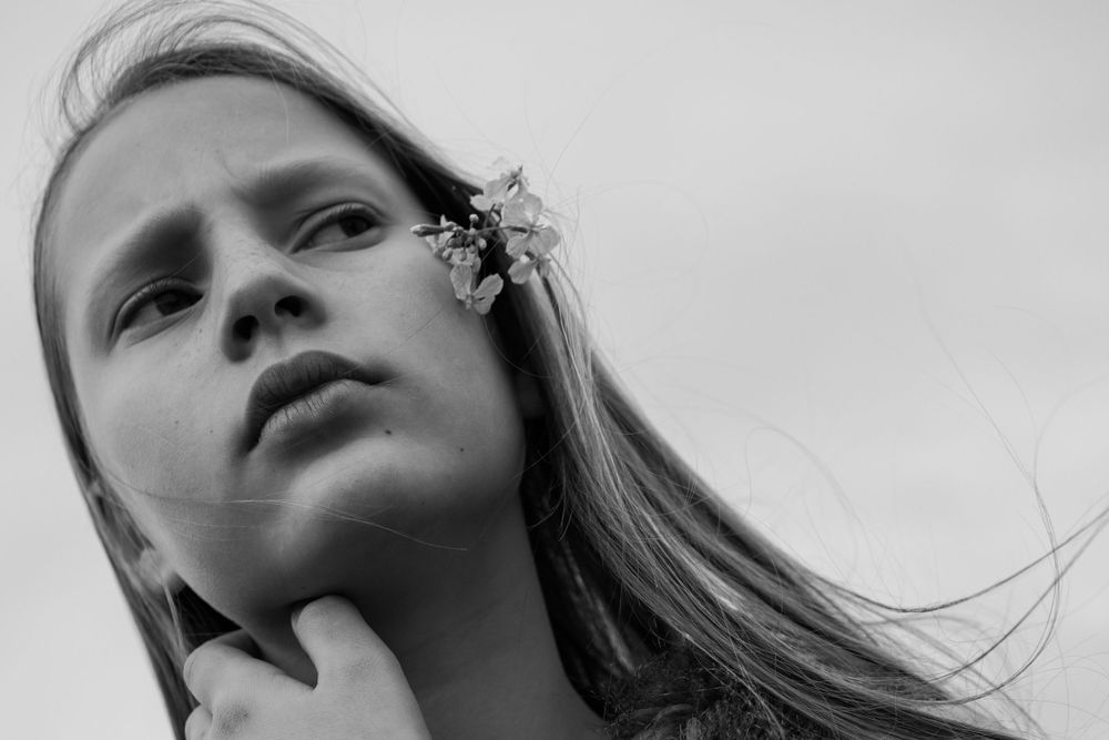 emotive photographer dunedin