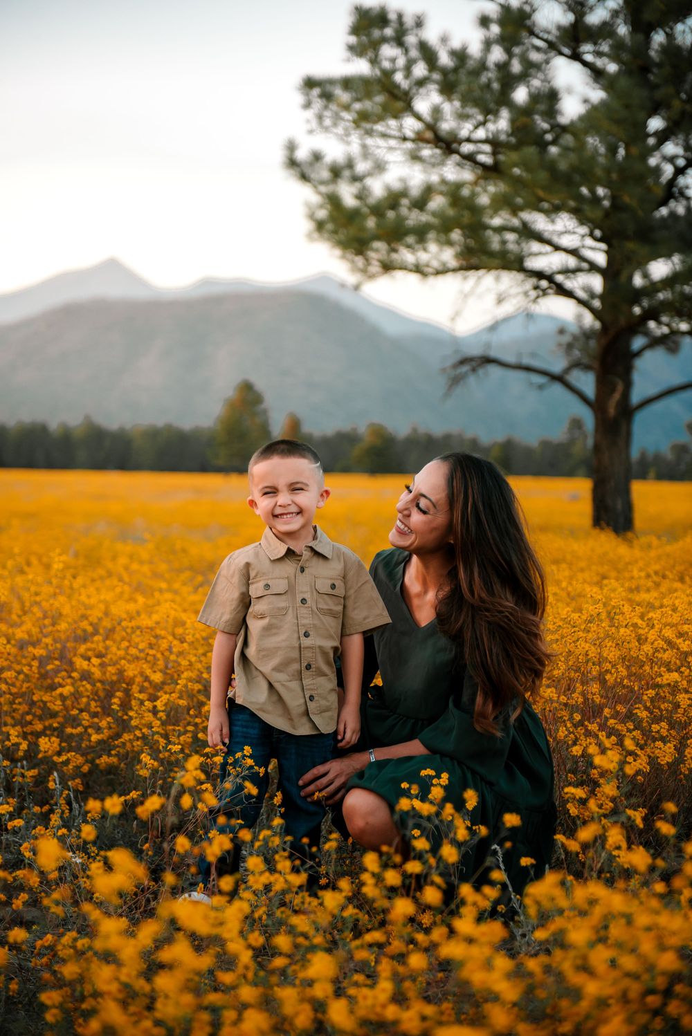 A scenic field of golden wildflowers with mountains in the background at sunset.