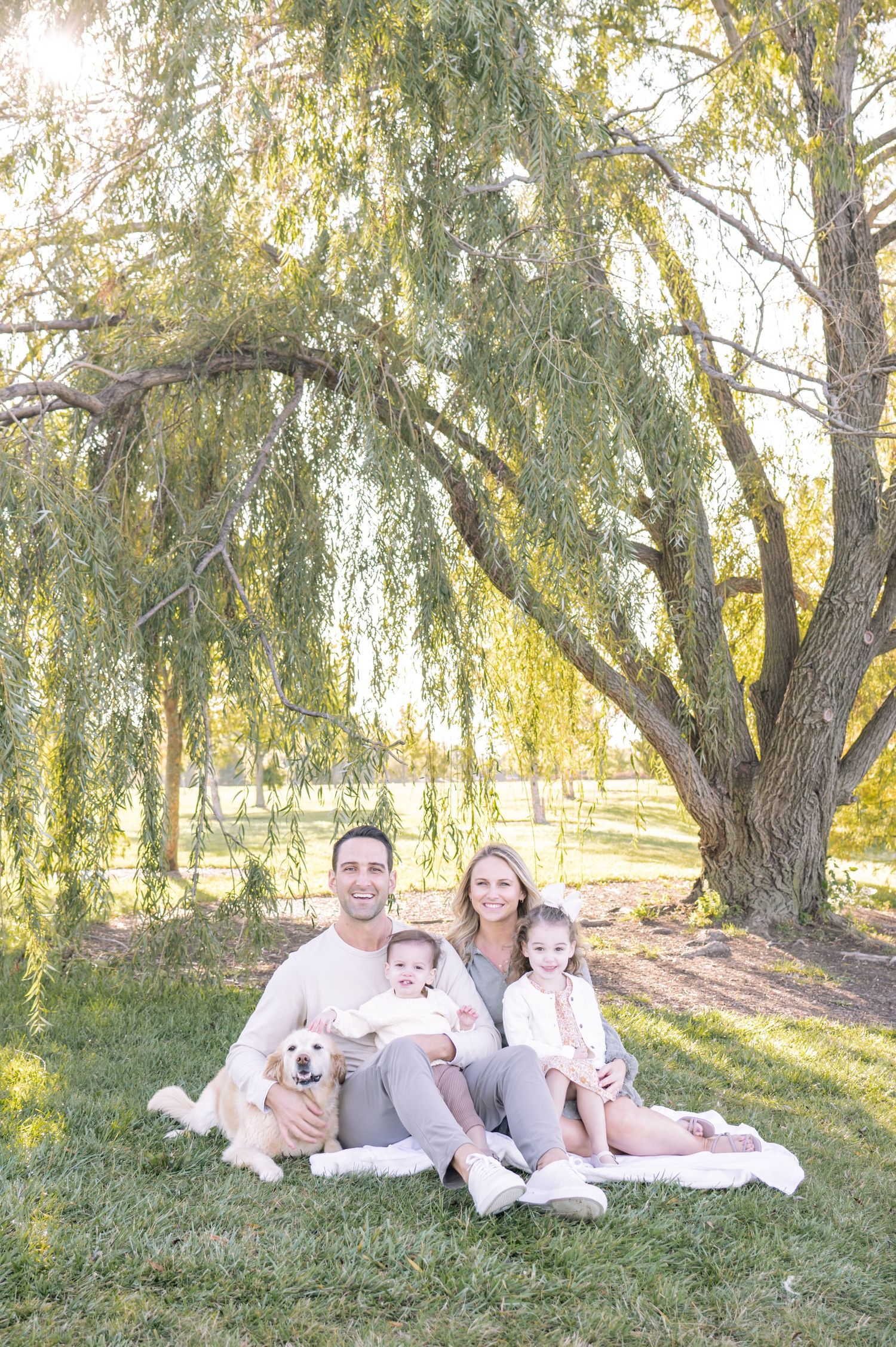 family sits on the grass under a willow tree posing for a formal portrait with their dog in carmel indiana