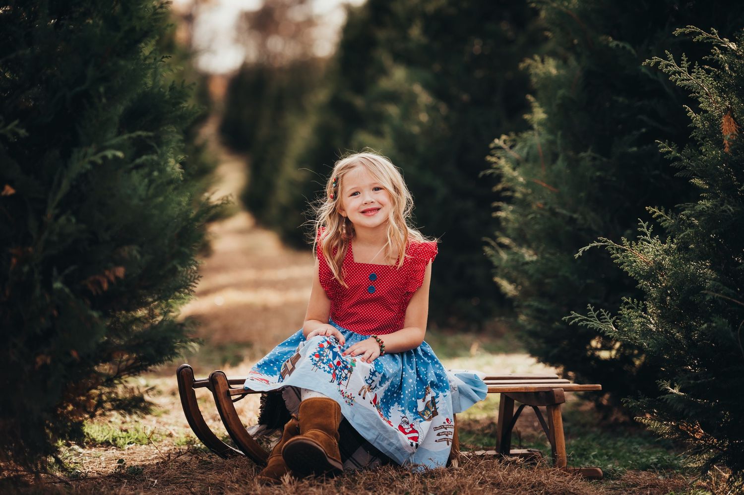 Young girl in christmas dress sits on antique sled in a row of christmas trees for chattanooga mini session