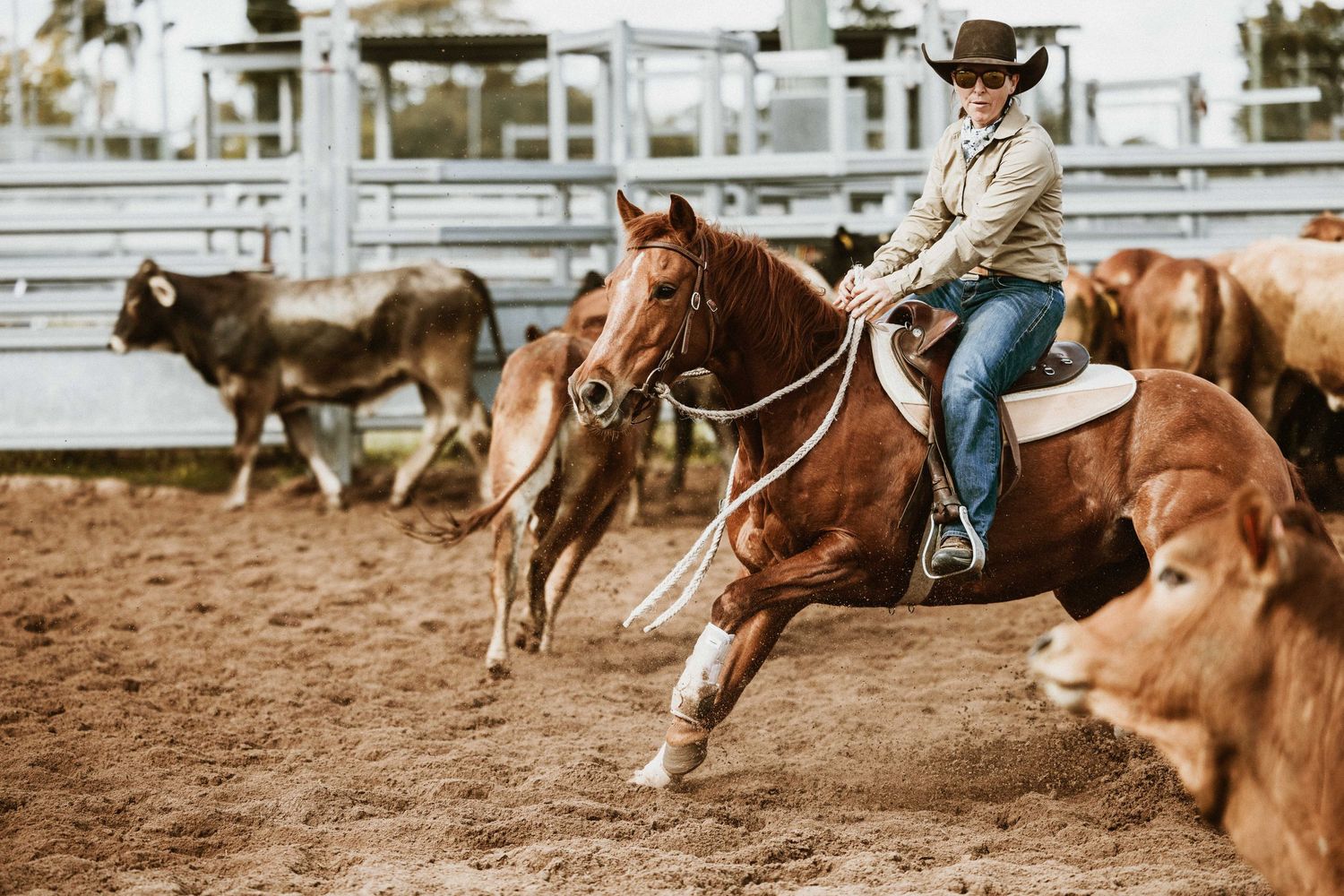 A cowgirl on a chestnut horse skillfully maneuvers through cattle in a competitive rodeo cutting event.