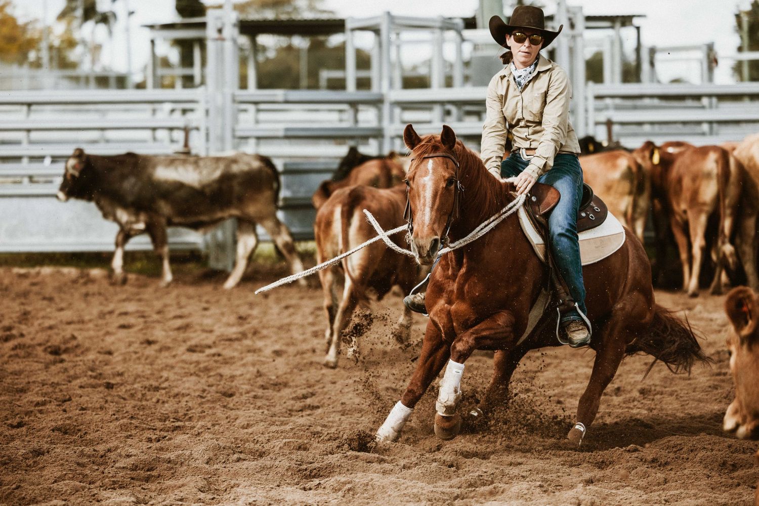 A female rider on a chestnut horse herds cattle in a dusty rodeo arena during a cutting competition.