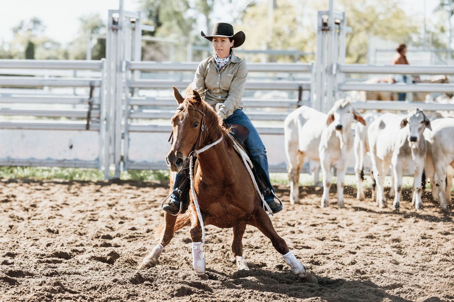 A young cowgirl in a black hat rides a chestnut horse while herding white cattle in a sunny arena.