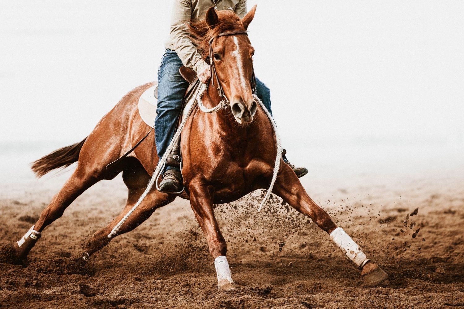 A cowboy rides a chestnut horse at full gallop during a rodeo competition, kicking up dirt.