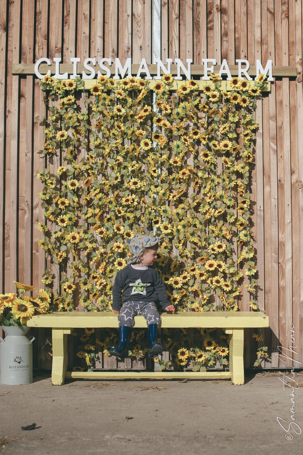 Clissman Farm Pumpkin Patch