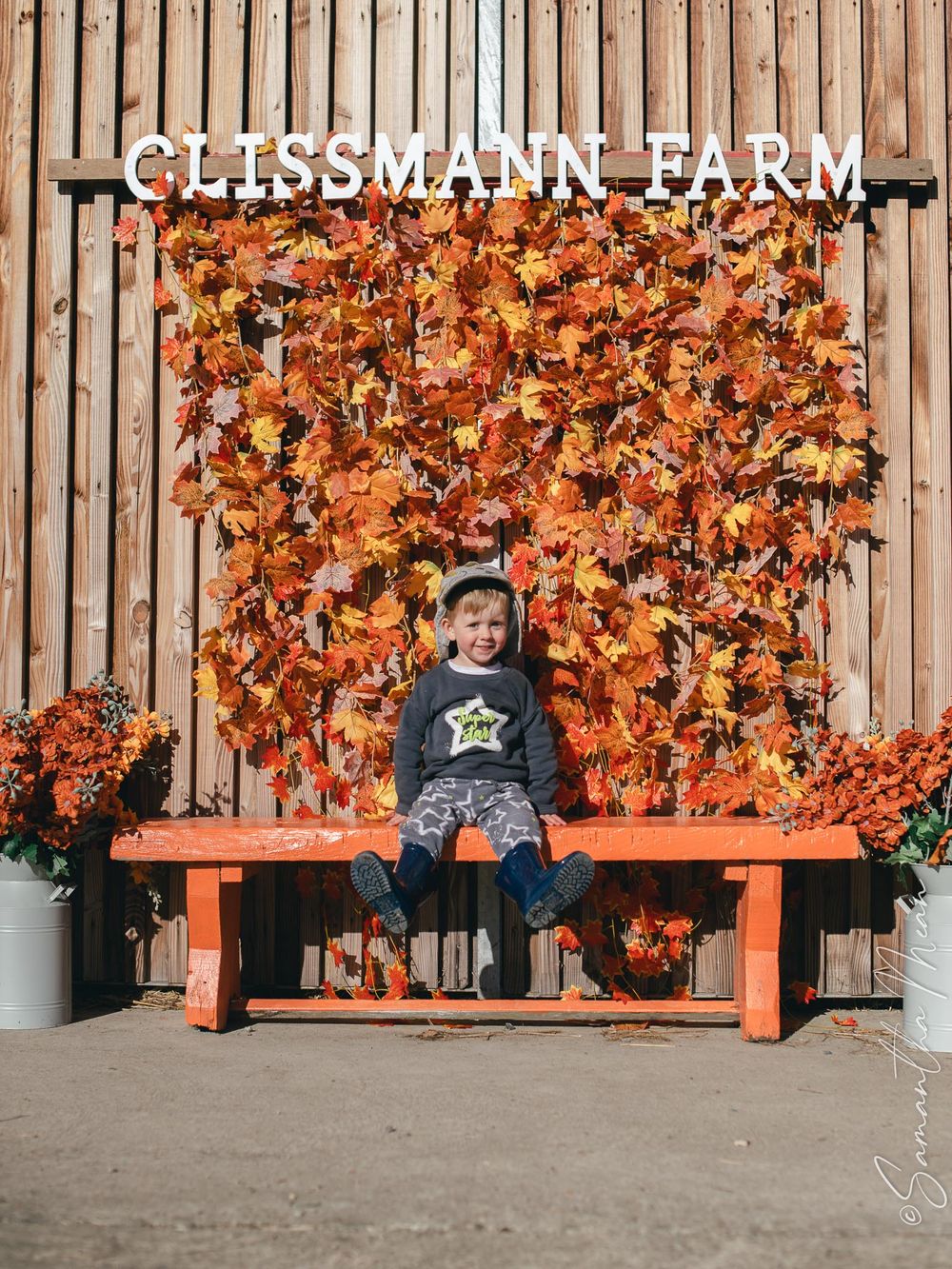 Clissman Farm Pumpkin Patch